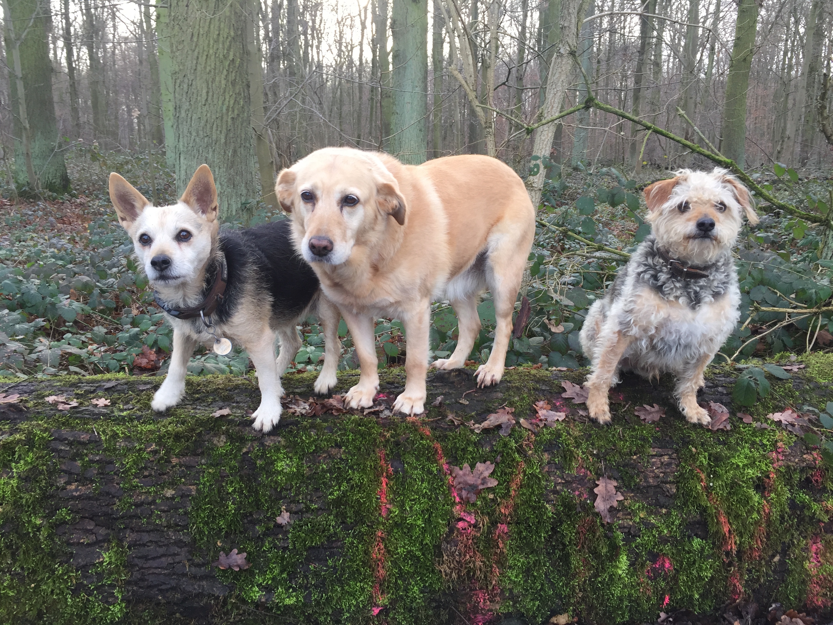 Mein tolles Trio :-)
